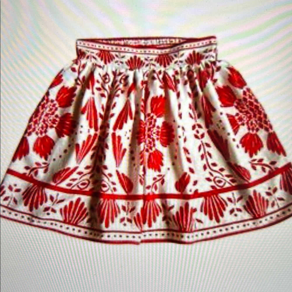 Haute Hippie Skirt